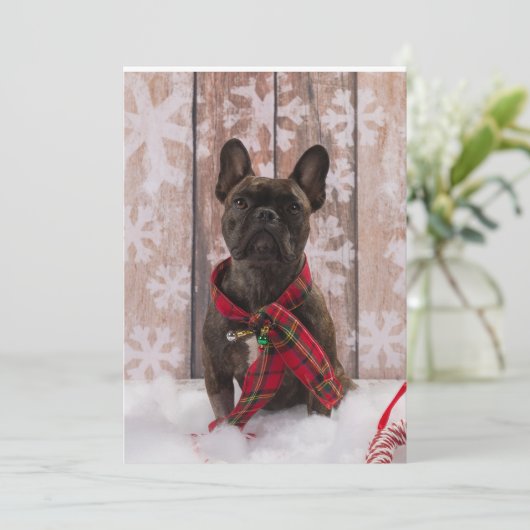 Frenchie Baby Feestdagenkaart (Staand voorkant)