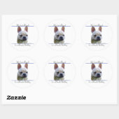 Frenchie Beste Vriend 2 - Sticker (Vel)