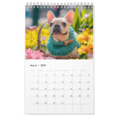 Frenchie Brei Seizoenen - Knus Hond Kalender (Mar 2027)