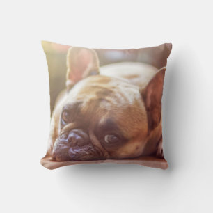 Frenchie Bulldog Pet Dog Sierkussen Home Decor