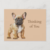 Frenchie denkt aan je briefkaart (Voorkant)