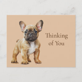 Frenchie denkt aan je briefkaart