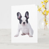 Frenchie - Frans buldogpuppy Kaart (Gele Bloem)