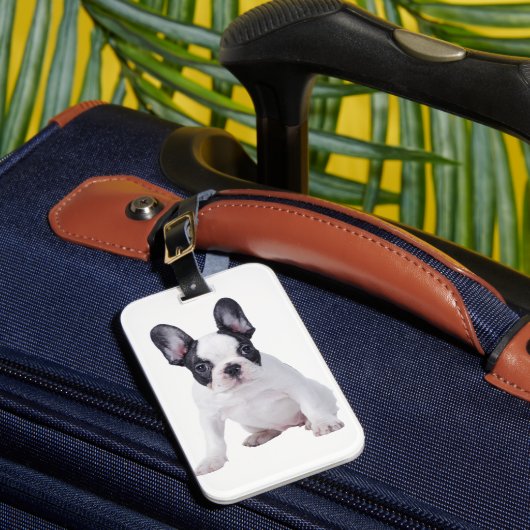 Frenchie - Franse stierenhondpuppy Bagagelabel (Voorkant Insitu 1)