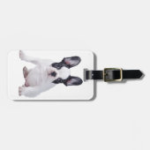 Frenchie - Franse stierenhondpuppy Bagagelabel (Voorkant horizontaal)