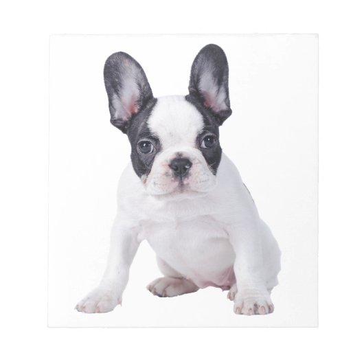 Frenchie - Franse stierenhondpuppy Notitieblok (Voorkant)