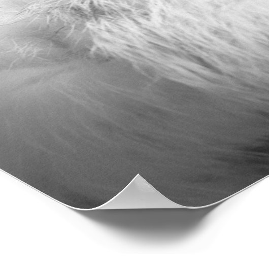 Frenchie - Franse stierenhondpuppy Poster (Hoek)