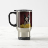 Frenchie - Franse stierenhondpuppy Reisbeker (Links)