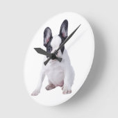 Frenchie - Franse stierenhondpuppy Ronde Klok (Hoek)