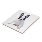 Frenchie - Franse stierenhondpuppy Tegeltje (Zijkant)