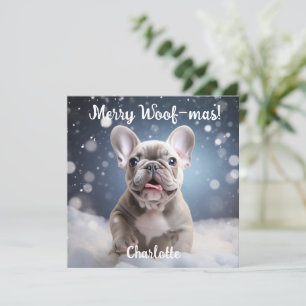 Frenchie Frosty Bliss