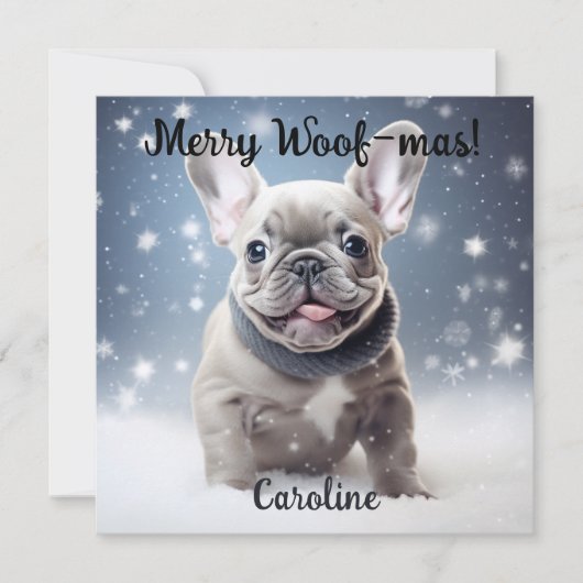 Frenchie Frosty Bliss  (Voorkant)