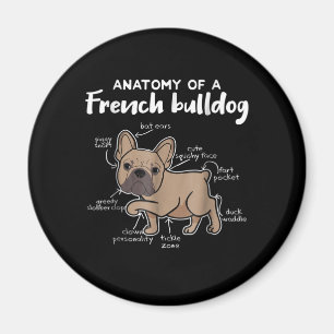 Frenchie Gift Anatomie van een Franse bulledog G Magneet