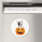 Frenchie Halloween Magneet (Insitu (Vaatwasser))