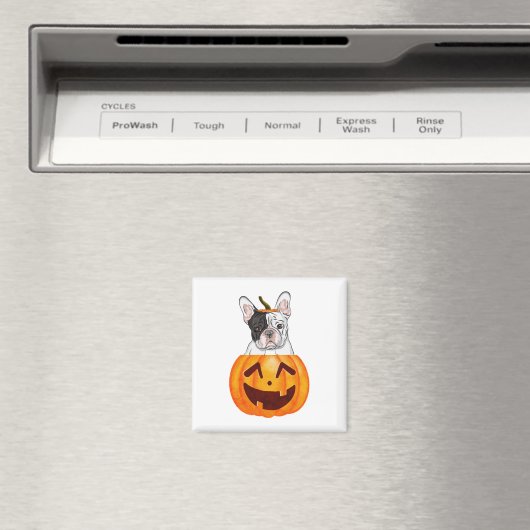 Frenchie Halloween Magneet (Insitu (Vaatwasser))