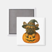 Frenchie in Pumpkin Magneet (Voorkant / Achterkant)