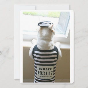 Frenchie Jailbird Happy Birthday Kaart