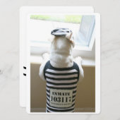 Frenchie Jailbird Happy Birthday Kaart (Voorkant / Achterkant)