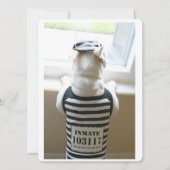 Frenchie Jailbird Happy Birthday Kaart (Voorkant)