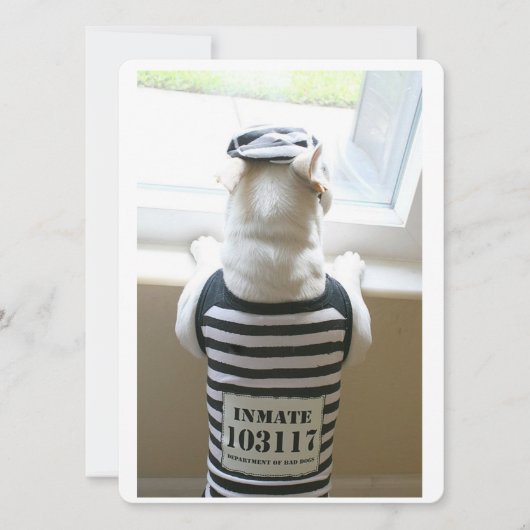 Frenchie Jailbird Happy Birthday Kaart (Voorkant)