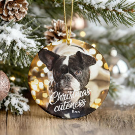 Frenchie-kerstbekentenis Cute Holiday Ornamy Keramisch Ornament