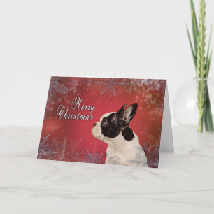 Frenchie-kerstkaart Feestdagen Kaart