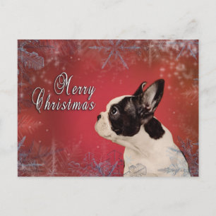 Frenchie-kerstkaart Feestdagenkaart