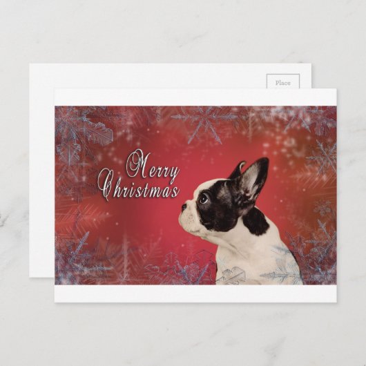 Frenchie-kerstkaart Feestdagenkaart (Voorkant / Achterkant)