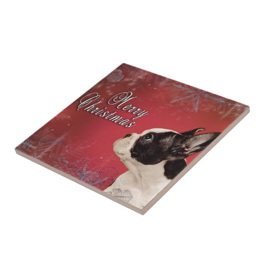 Frenchie-kerstkaart Tegeltje (Zijkant)
