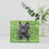Frenchie Love Franse Bulldog Foto Briefkaart (Staand voorkant)