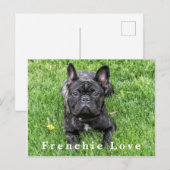 Frenchie Love Franse Bulldog Foto Briefkaart (Voorkant / Achterkant)