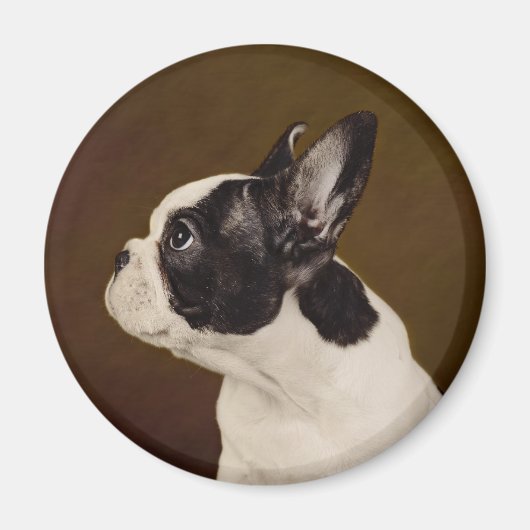 Frenchie Magneet (Voorkant)