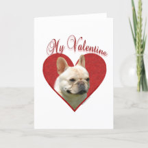 Frenchie Mijn Valentijn