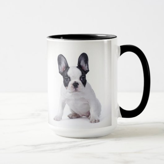 Frenchie Mok (Rechts)