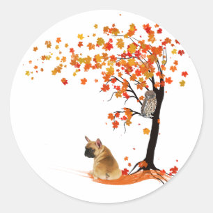 Frenchie My Spirit Animals Owl Frenchie Lovers Ronde Sticker
