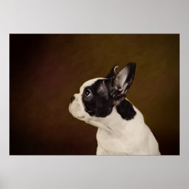 Frenchie Poster