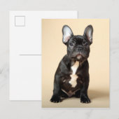 Frenchie Puppy Briefkaart (Voorkant / Achterkant)