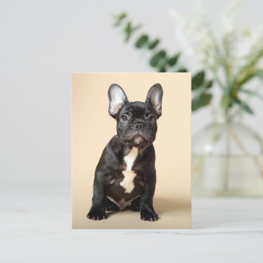 Frenchie Puppy Briefkaart (Staand voorkant)