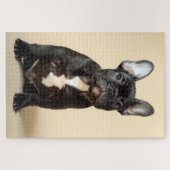 Frenchie Puppy Legpuzzel (Horizontaal)