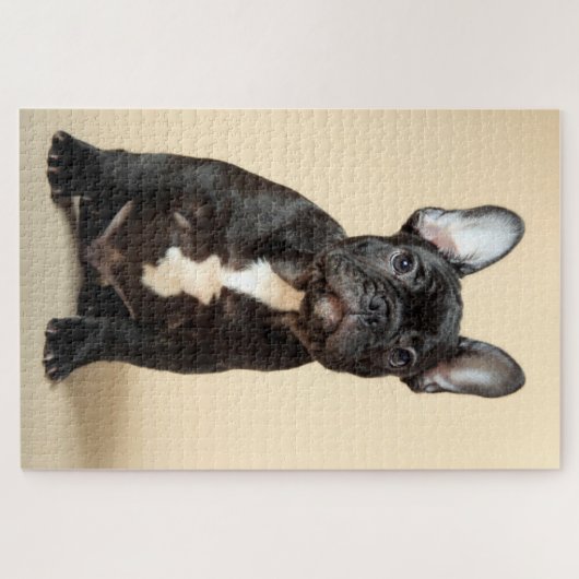 Frenchie Puppy Legpuzzel (Horizontaal)
