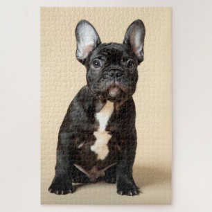 Frenchie Puppy Legpuzzel