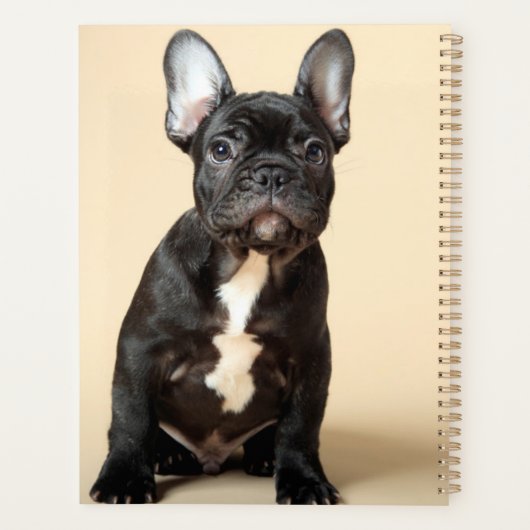 Frenchie Puppy Planner (Achterkant)