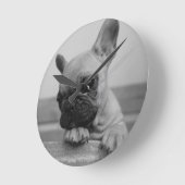 Frenchie puppy ronde klok (Hoek)