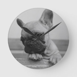 Frenchie puppy ronde klok