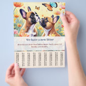 Frenchie puppy te koop flyer (Hand)