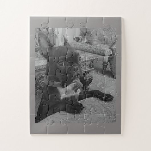 Frenchie Puzzle Legpuzzel (Verticaal)