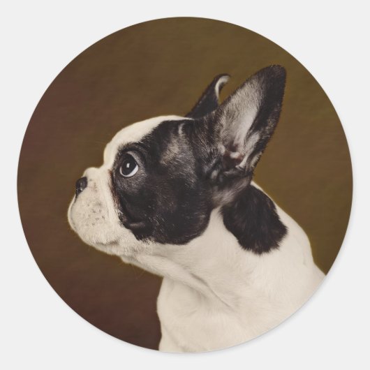 Frenchie Ronde Sticker (Voorkant)