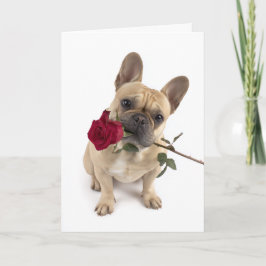 Frenchie Valentine – Grote liefde in een klein pak Kaart