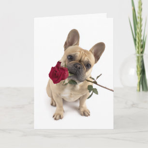 Frenchie Valentine – Grote liefde in een klein pak Kaart