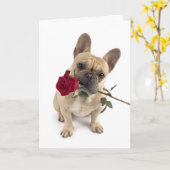 Frenchie Valentine – Grote liefde in een klein pak Kaart (Gele Bloem)